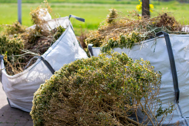 Best Commercial Junk Removal  in Bayard, NM